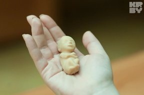 две сотни человеческих эмбрионов