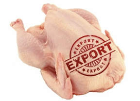 экспорт мяса птицы