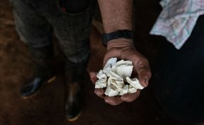 кокаин станет главным экспортным товаром Колумбии