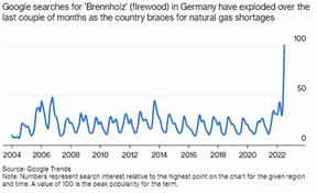 поиск по слову дрова в германии