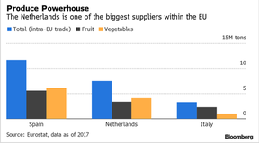 производство овощей в голландии