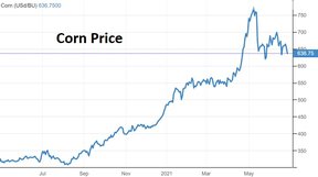 цена на кукурузу